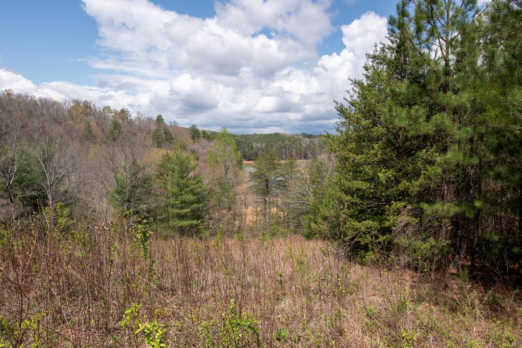Ranger Real Estate Listings Main Image