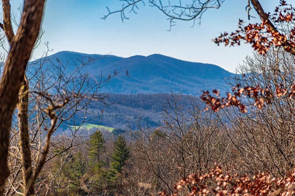 Lot 12 Meadow Brook Trail Property Photo