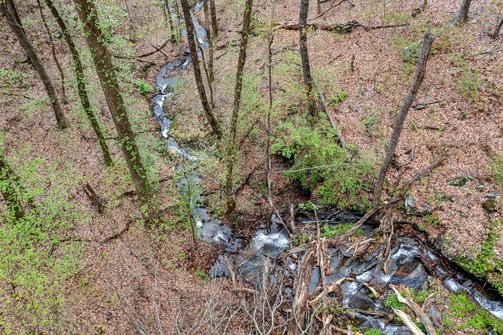 0 Sassafras Mountain Trail Property Photo