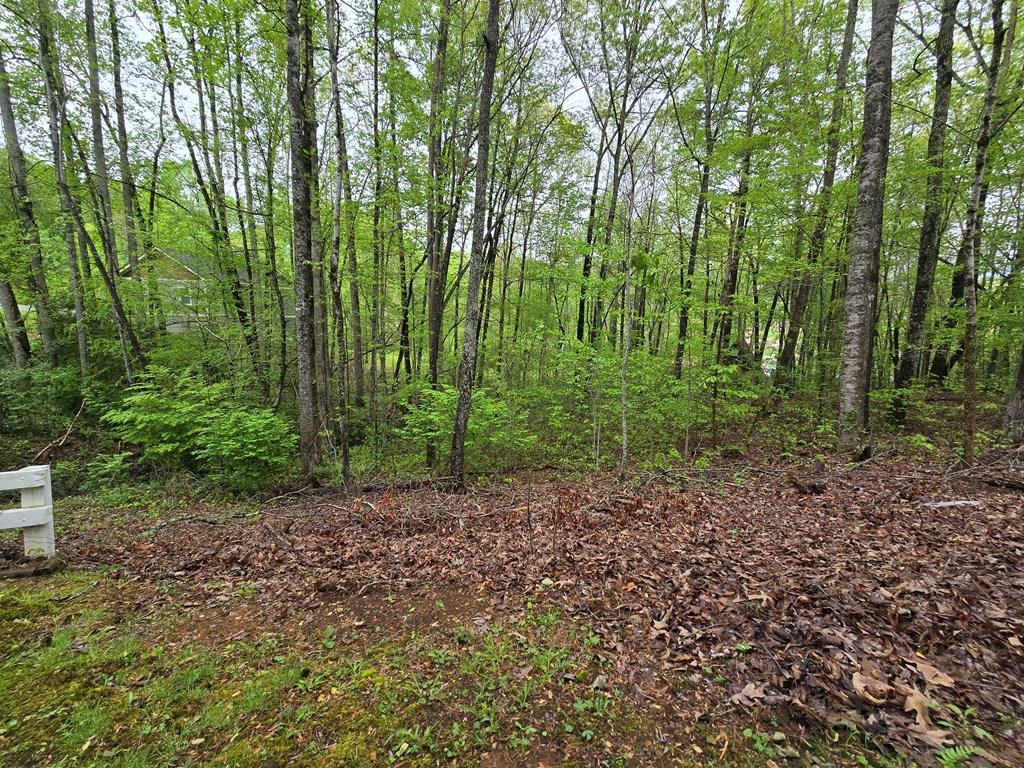 Lot 69 Chatuge Village Property Photo