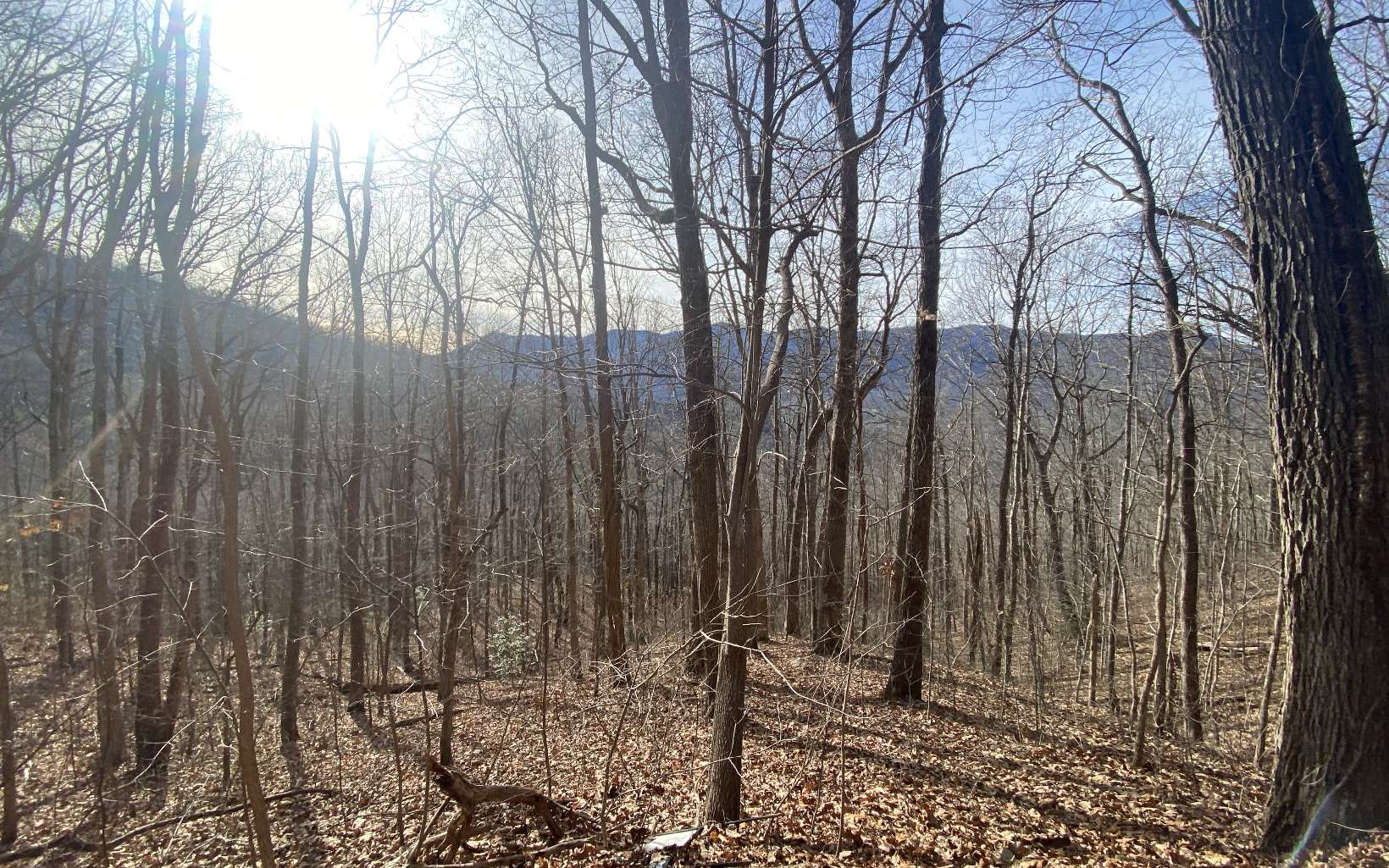 Tr. 1 Caesar Gap Road Property Photo