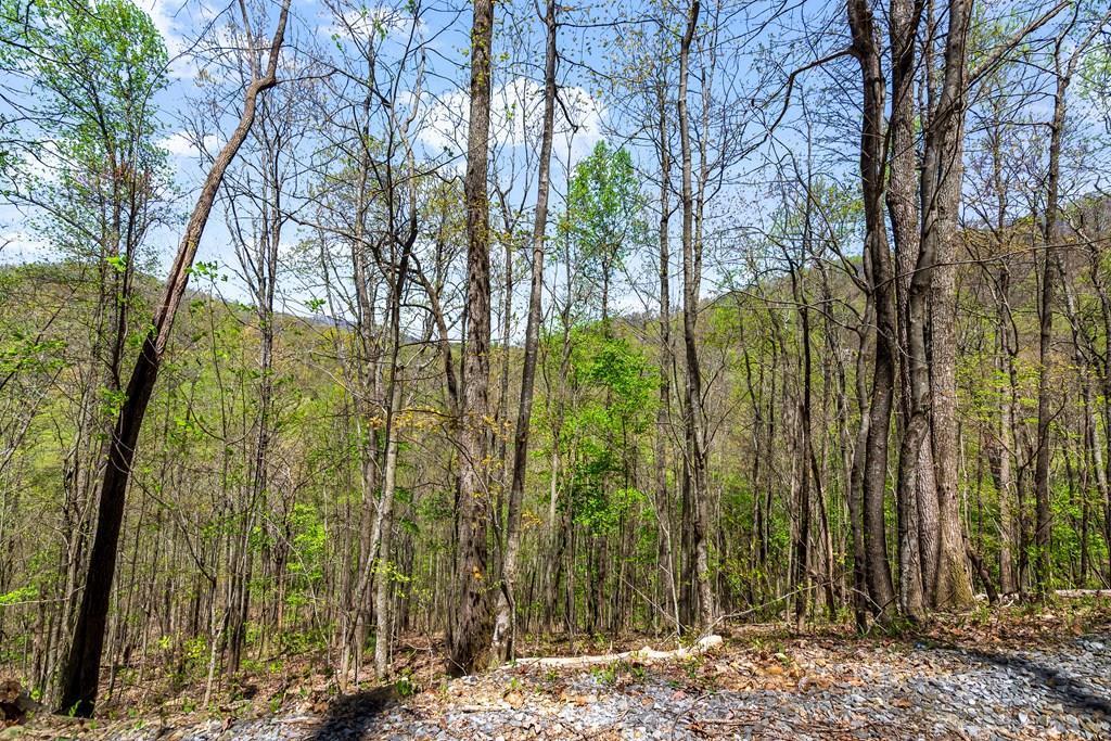 32.11 Ac Hidden Valley Drive Property Photo