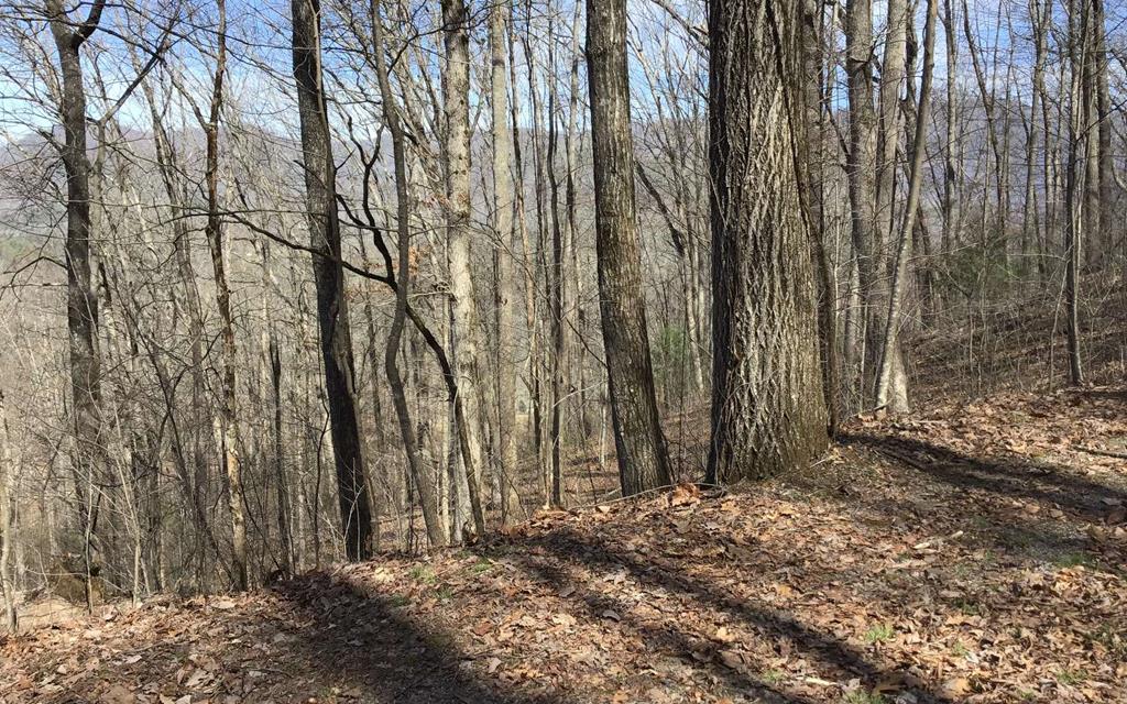 #61 Shiloh Property Photo