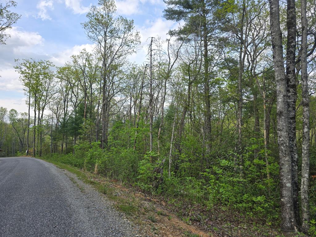 Lot 10 Kennedys Court Property Photo