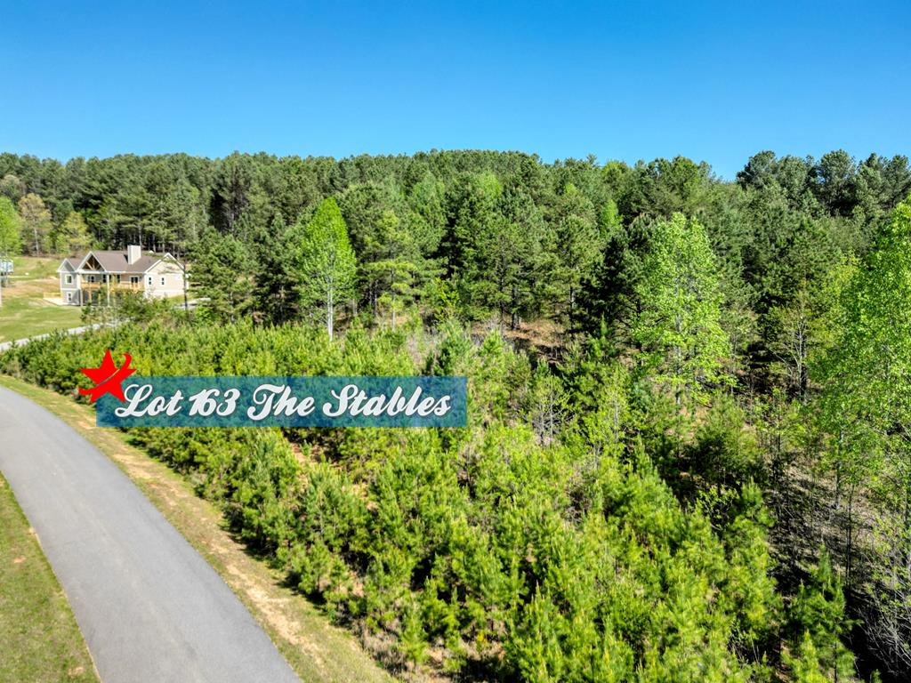 163 Stables Loop Property Photo