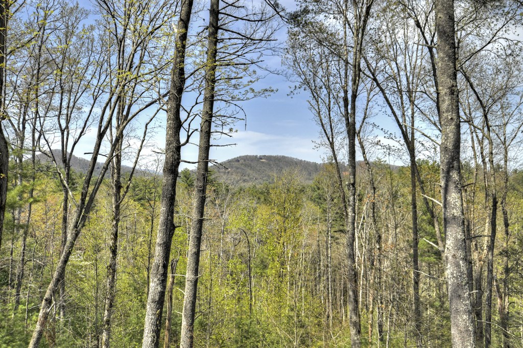 302 Indian Ridge Road Property Photo 6