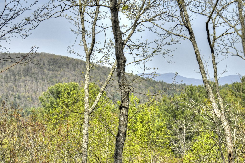302 Indian Ridge Road Property Photo 13