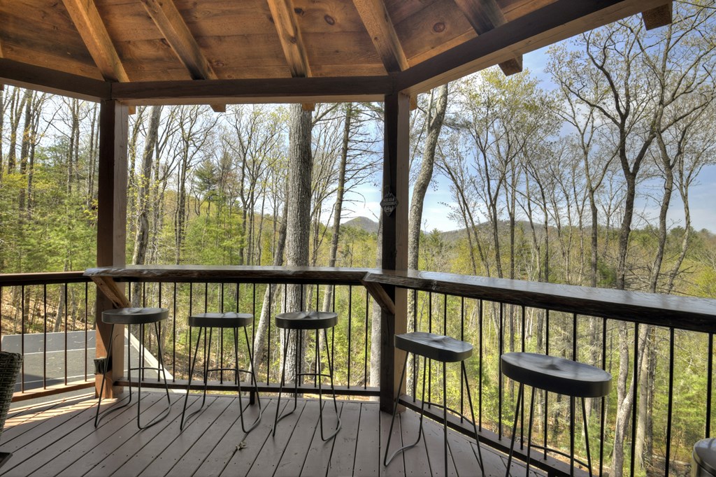 302 Indian Ridge Road Property Photo 14