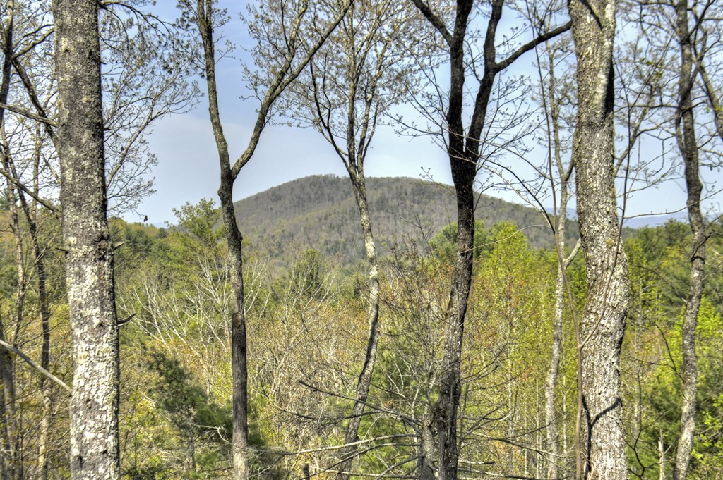 302 Indian Ridge Road Property Photo 50