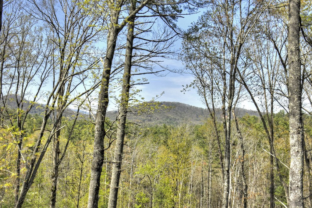 302 Indian Ridge Road Property Photo 56