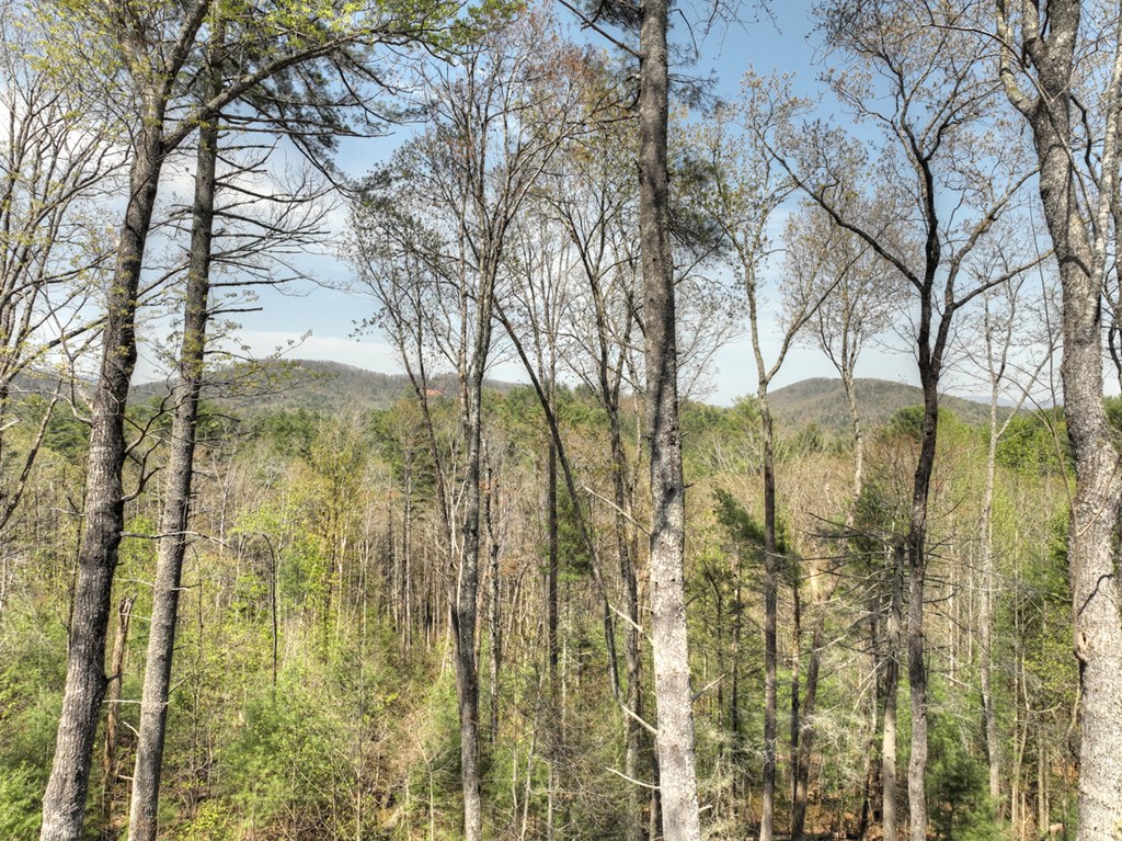 302 Indian Ridge Road Property Photo 60