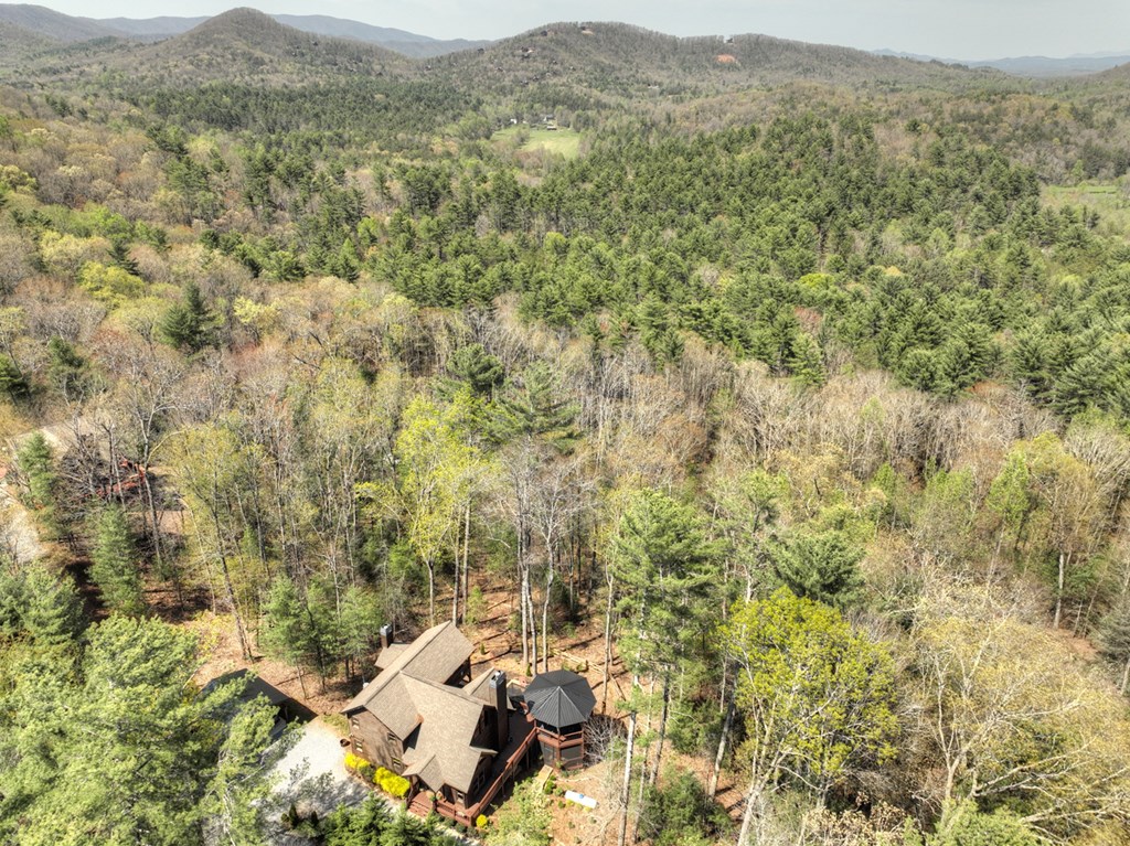 302 Indian Ridge Road Property Photo 67