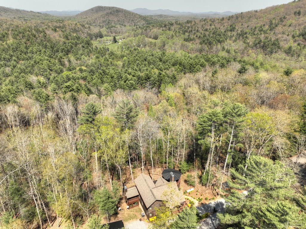302 Indian Ridge Road Property Photo 76