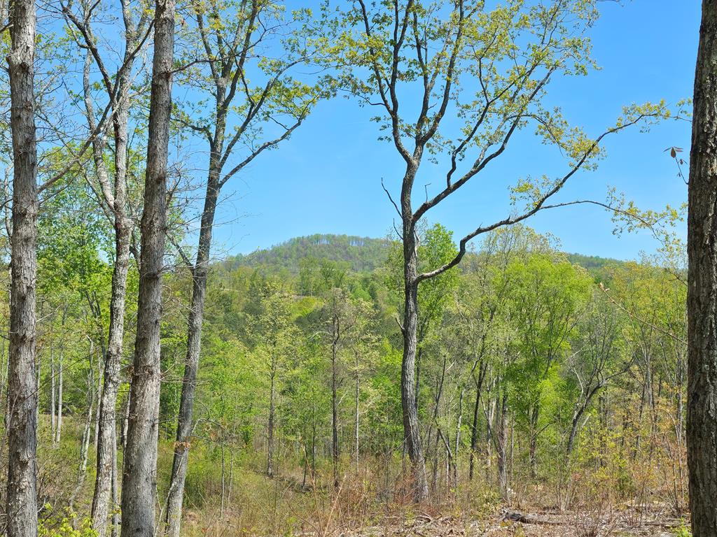 Lot 209 Oak Park Drive Property Photo
