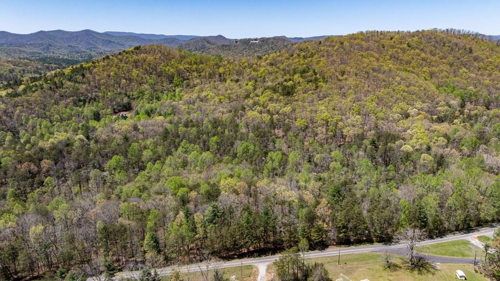 30 +/-ac Lebanon Road Property Photo