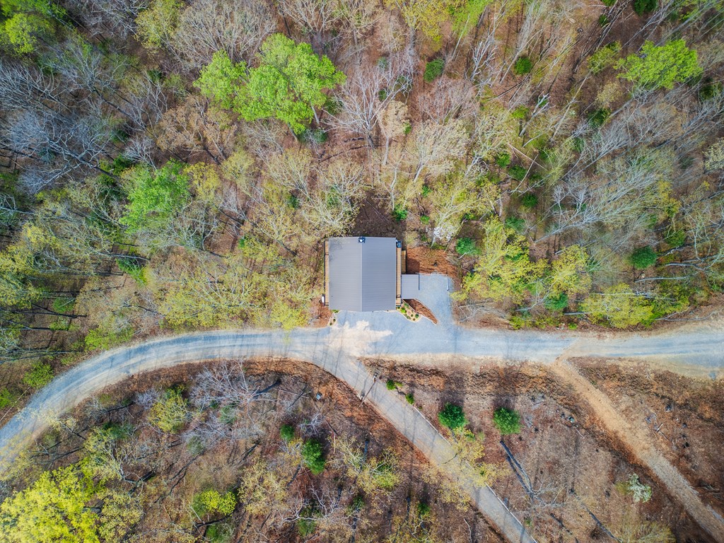 283 Blue Sky Overlook Property Photo 31