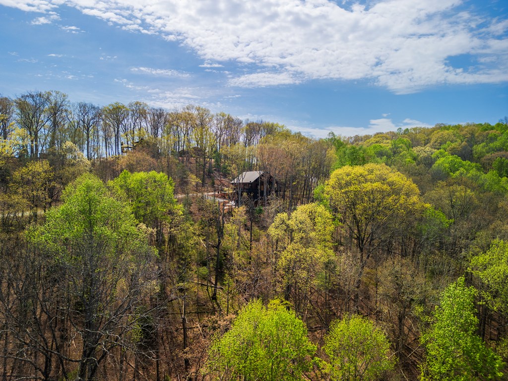 283 Blue Sky Overlook Property Photo 32