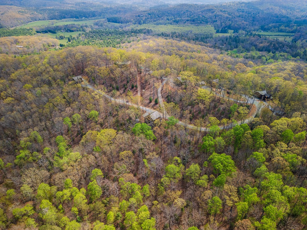 283 Blue Sky Overlook Property Photo 34