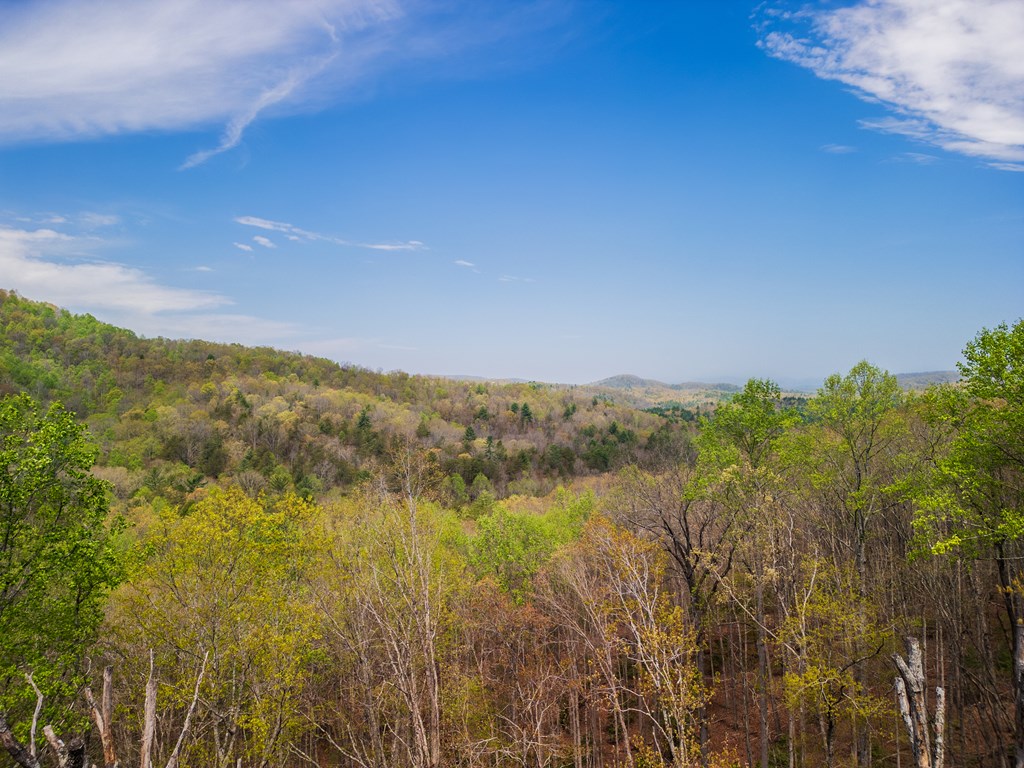 283 Blue Sky Overlook Property Photo 35