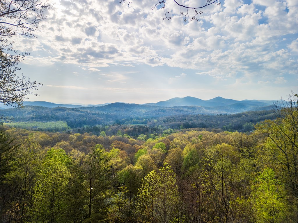 194 Blue Sky Overlook Property Photo 3