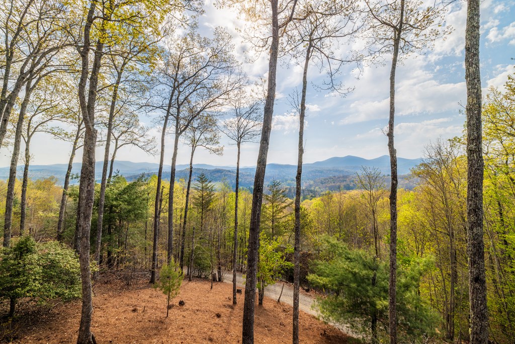 194 Blue Sky Overlook Property Photo 32