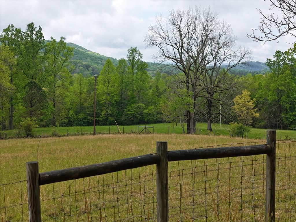 6.02 Ac Ivy Log Gap Road Property Photo 1