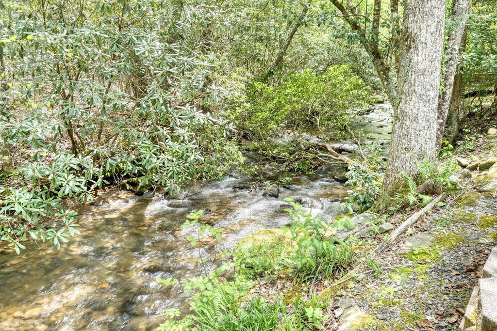 1095 Creekside Drive Property Photo 29
