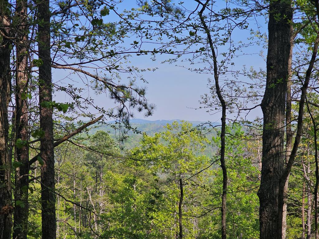 391 Meteor Court Property Photo 1