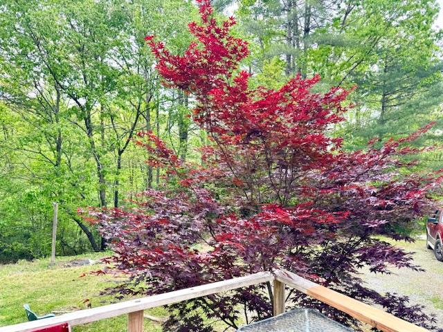 Property Photo 39