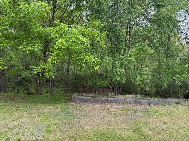 Property Photo 41