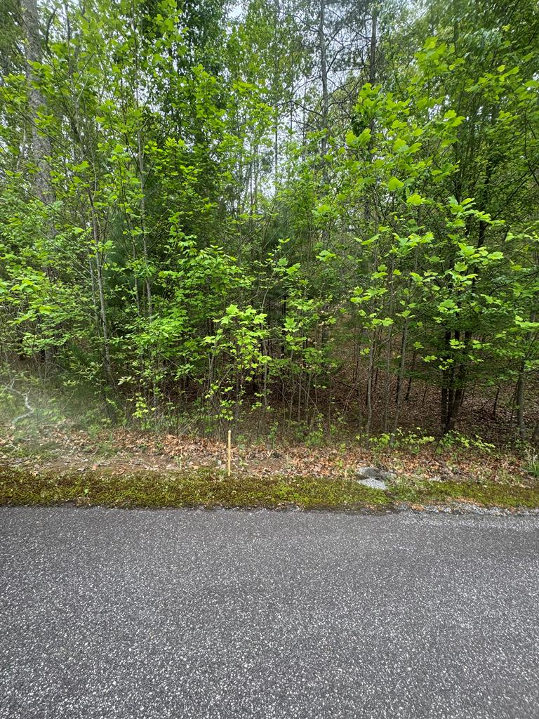 Lot 7 Arden Acres Property Photo