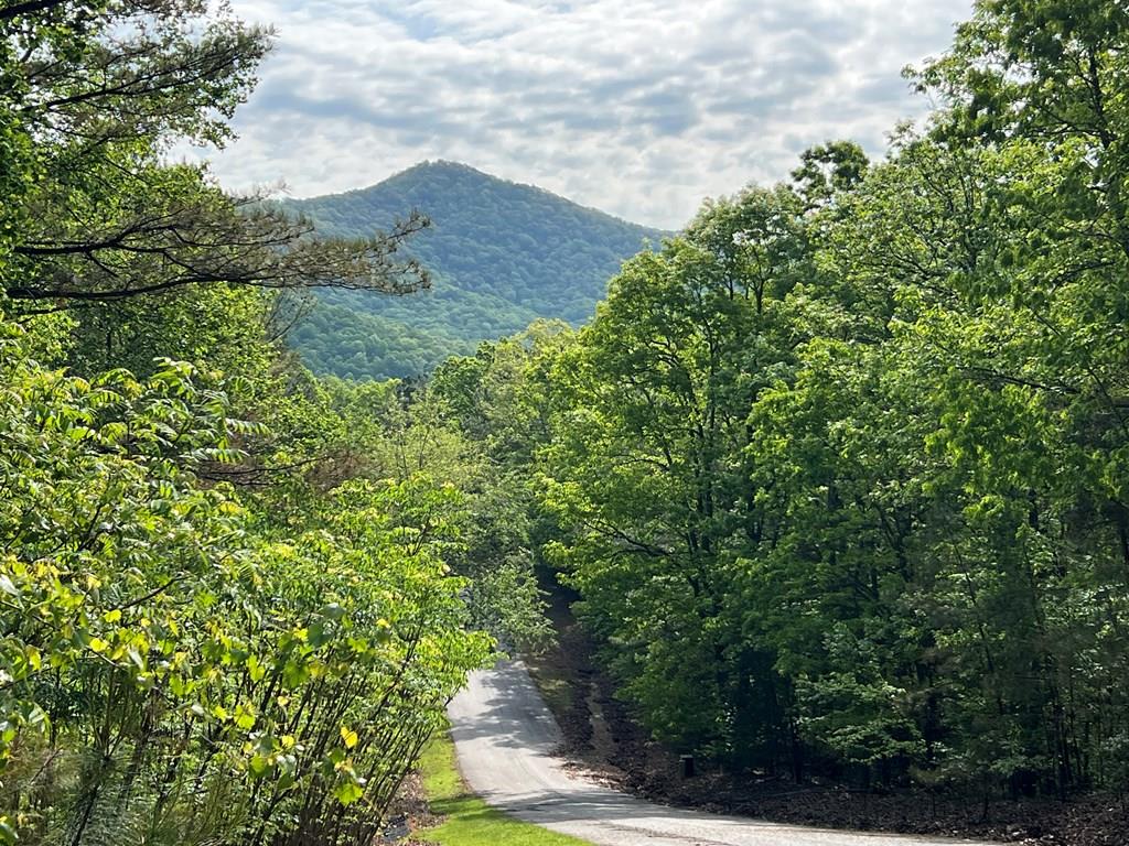 Lot 25 Loftis Mountain Property Photo