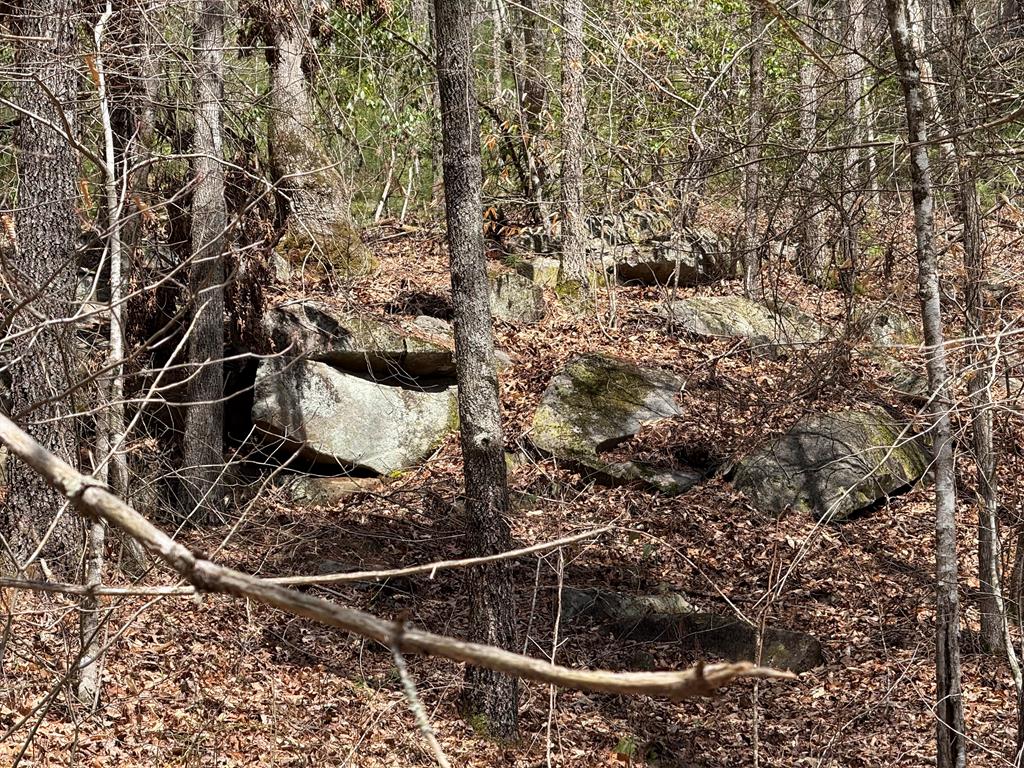0 Morrow Road Property Photo 1