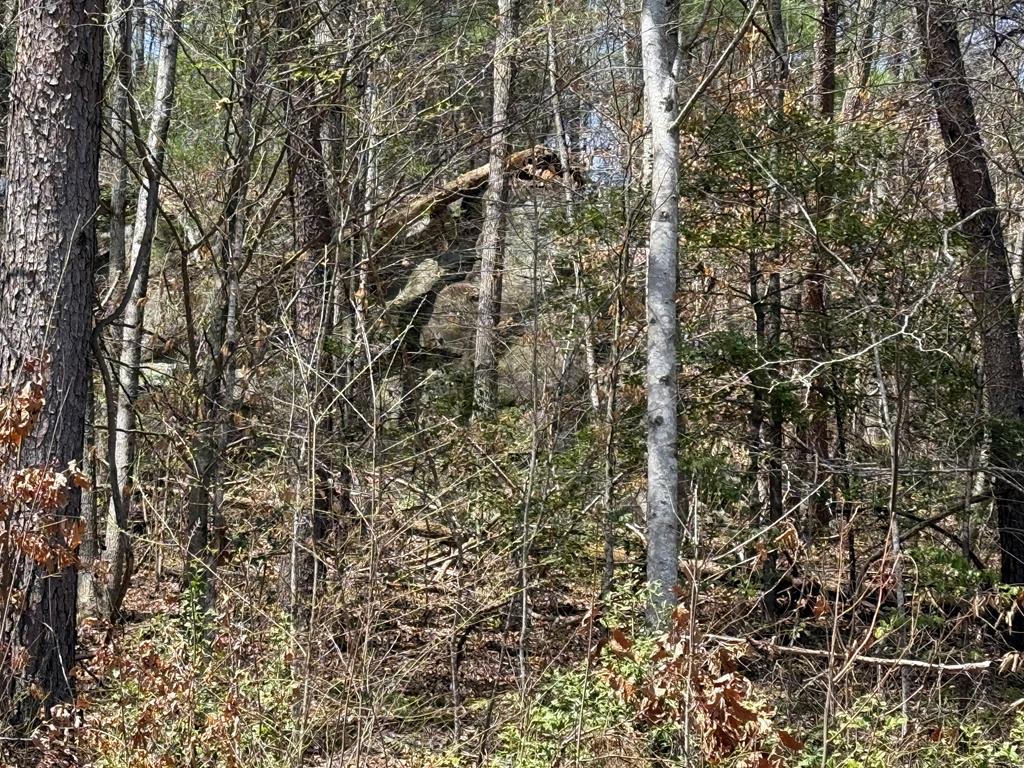 0 Morrow Road Property Photo 1