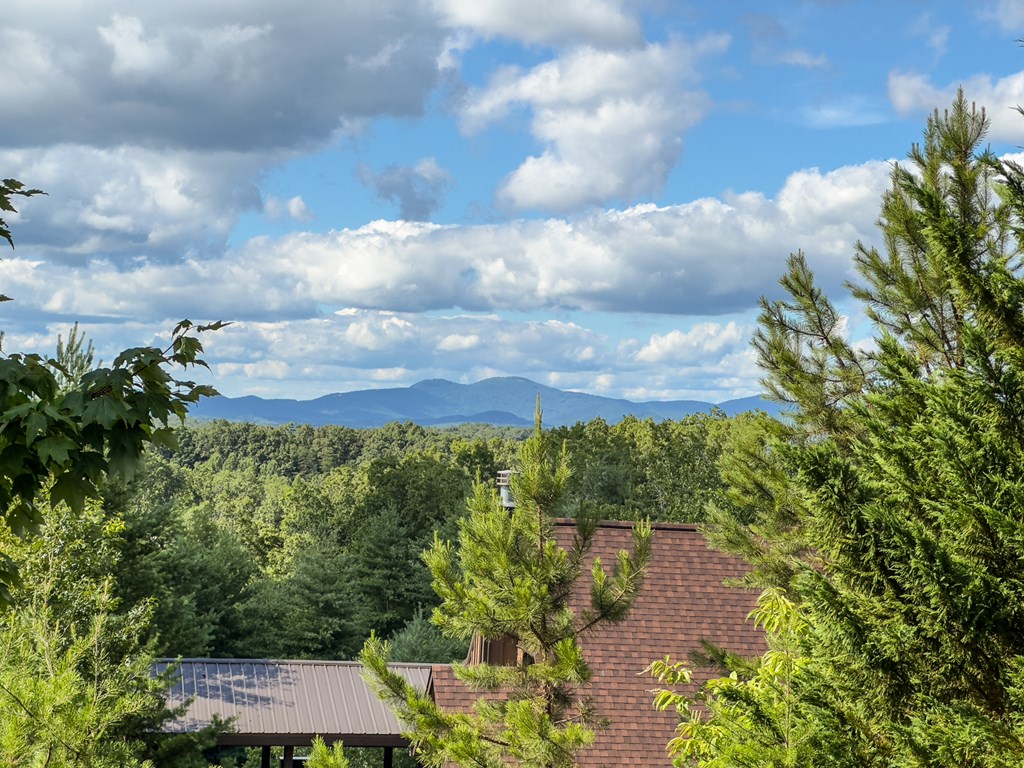 78 Mountain Peaks Lane Property Photo 3