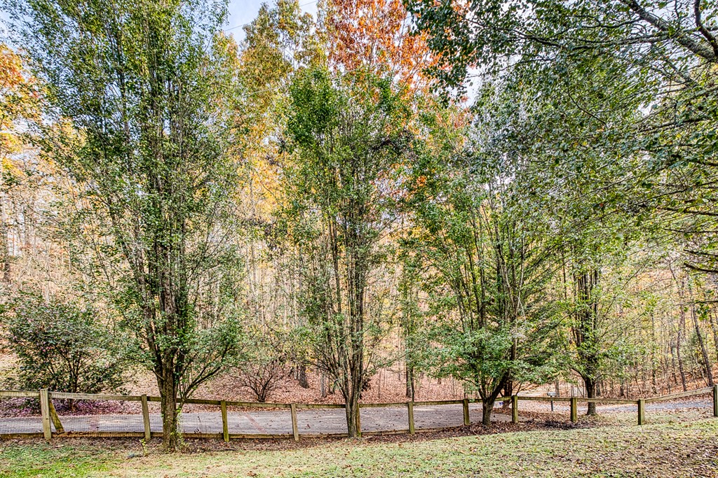 78 Mountain Peaks Lane Property Photo 72