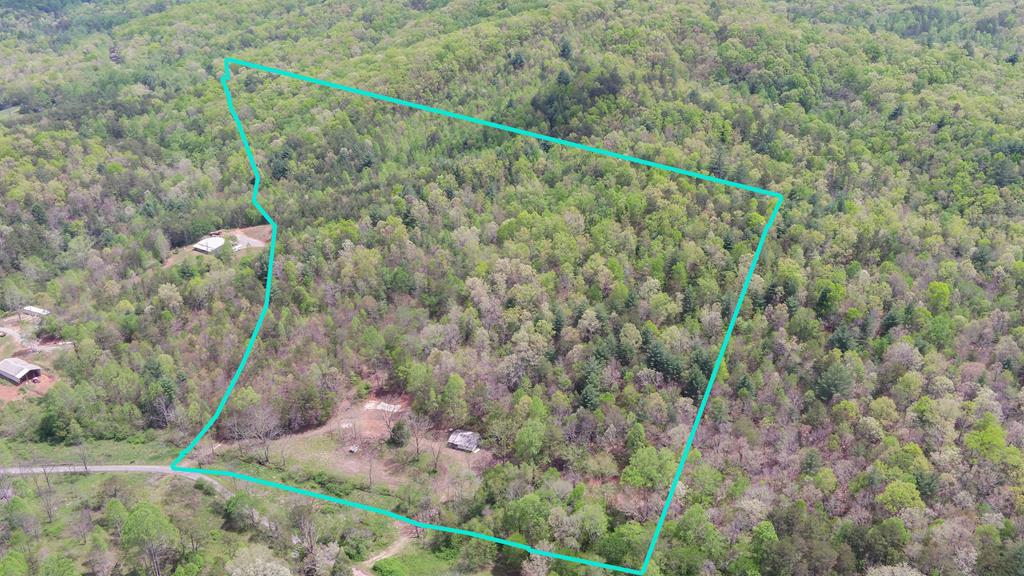 385 Elrod Circle Property Photo 1