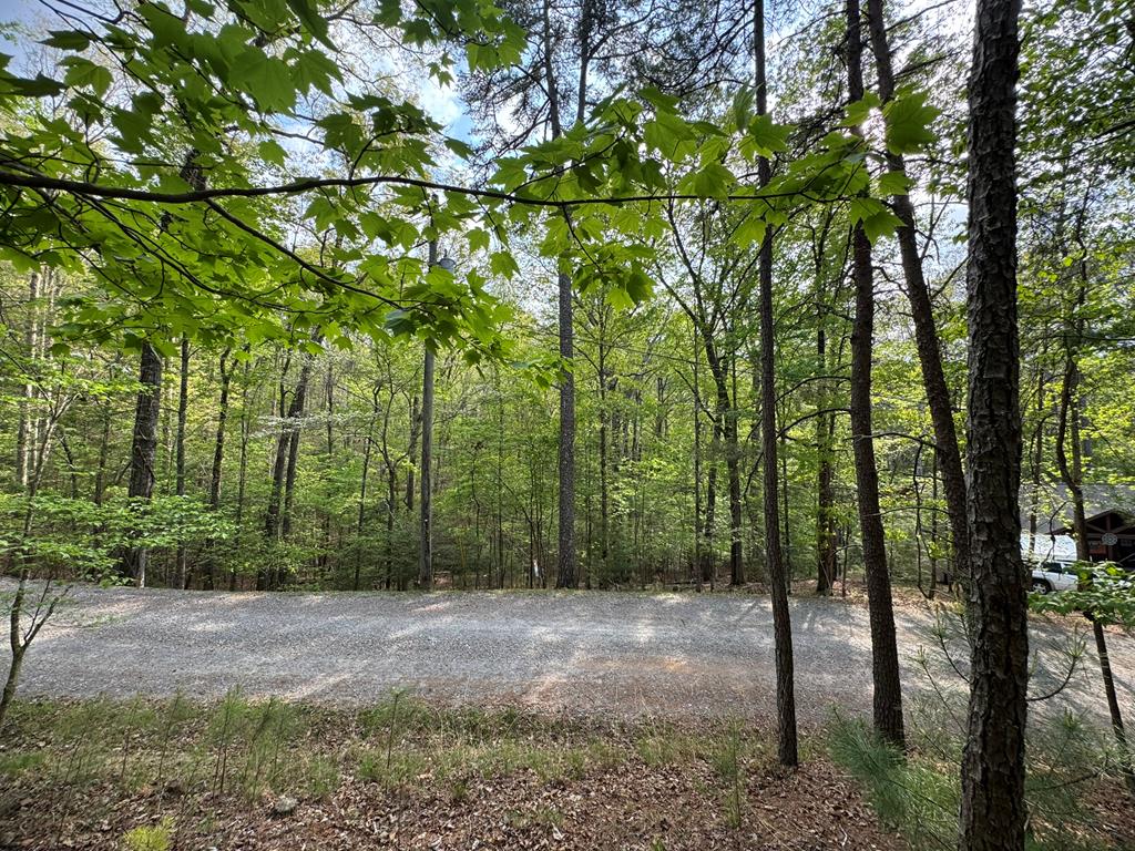 Lot 1188 Gibe Court Property Photo 1