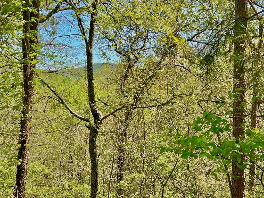 694 Railey Ridge Property Photo 1