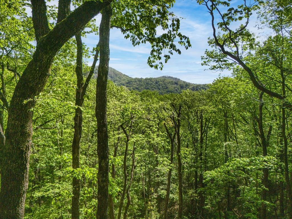 Lot 45 Amy Creek Property Photo 1