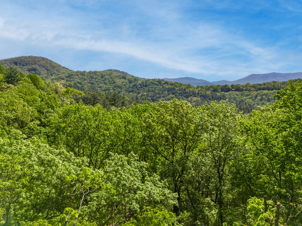 Lot 45 Amy Creek Property Photo 2