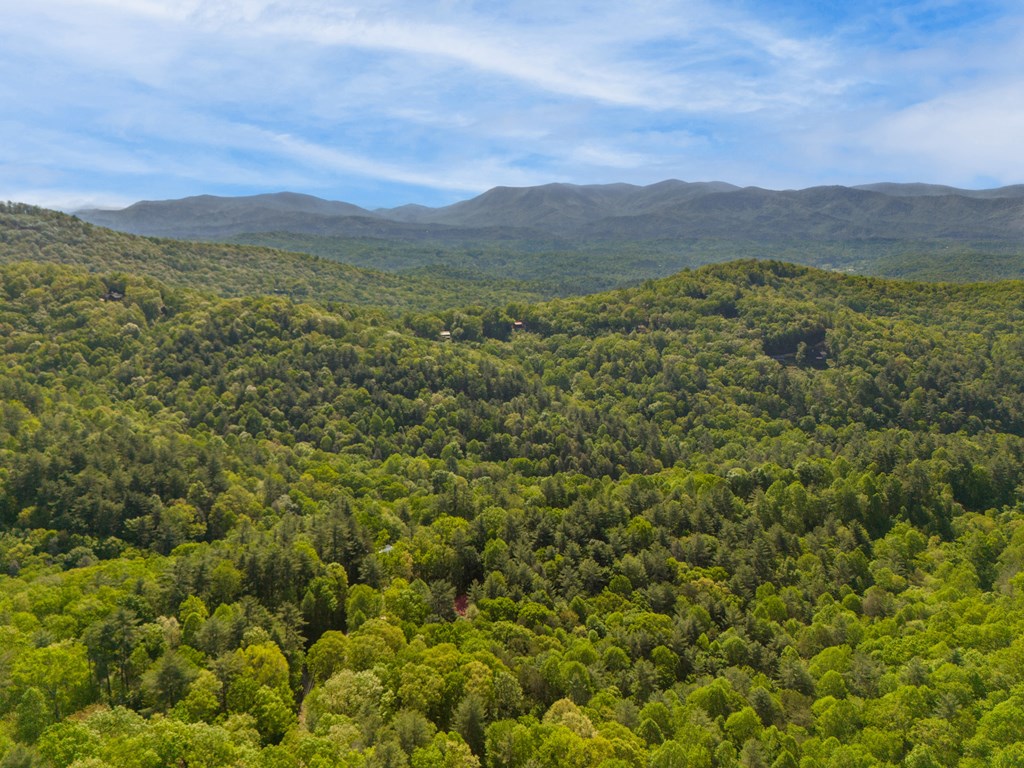 Lot 45 Amy Creek Property Photo 3