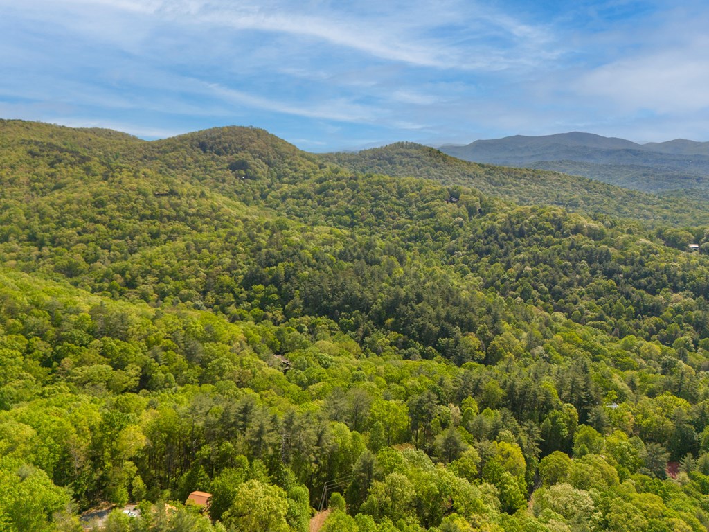 Lot 45 Amy Creek Property Photo 4