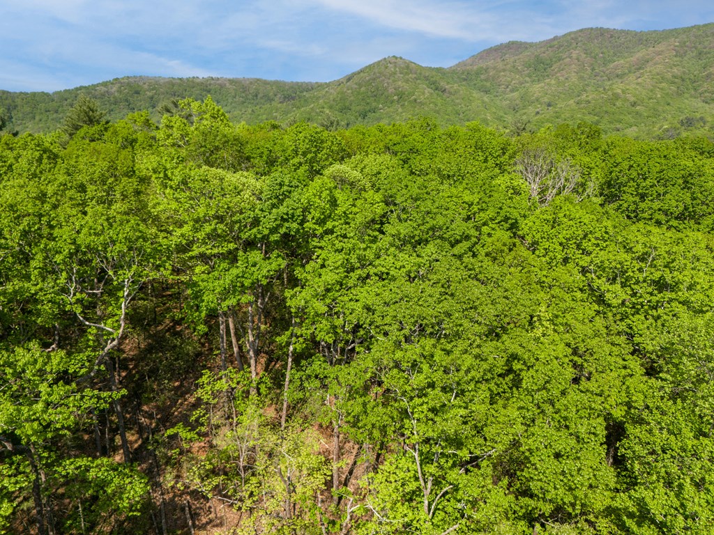 Lot 45 Amy Creek Property Photo 5