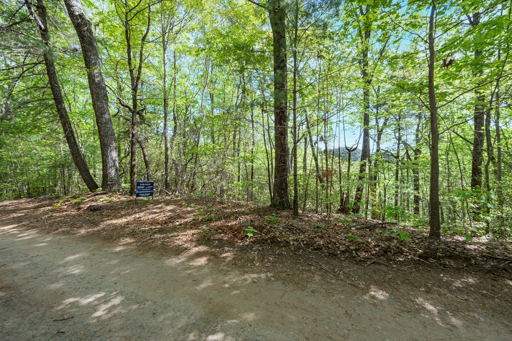 Lot 45 Amy Creek Property Photo 6