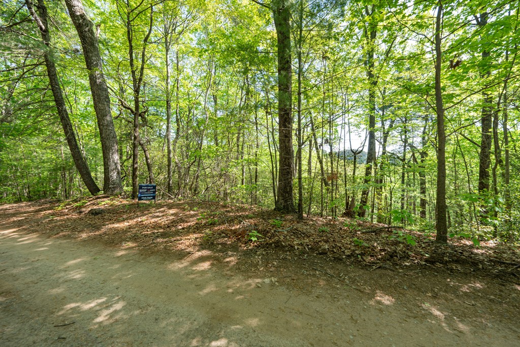 Lot 45 Amy Creek Property Photo 7