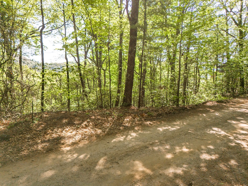 Lot 45 Amy Creek Property Photo 8
