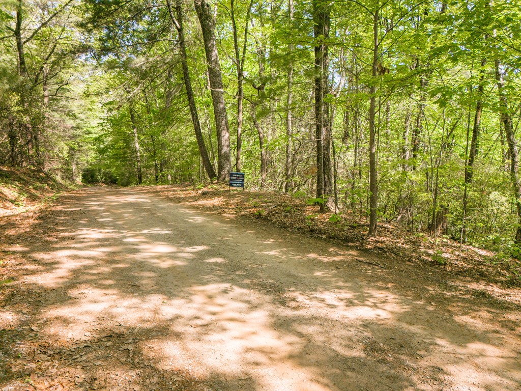Lot 45 Amy Creek Property Photo 9