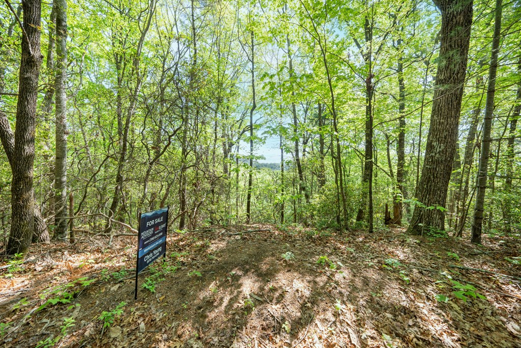 Lot 45 Amy Creek Property Photo 10