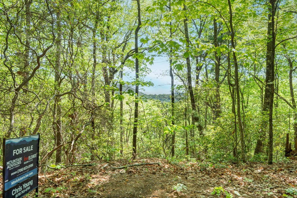 Lot 45 Amy Creek Property Photo 11